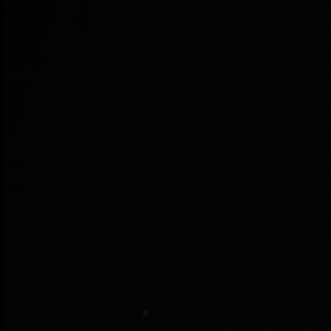 Meet your Posher, Lamar